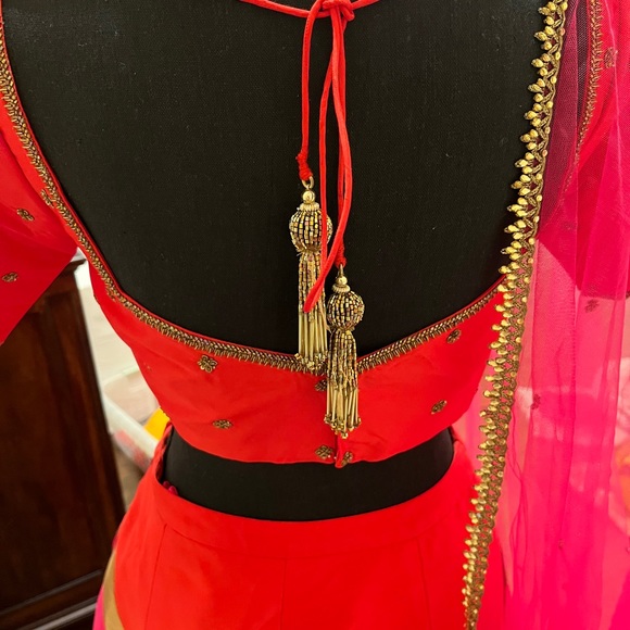 Custom made designer lengha. Gorgeous chevron print red, pink & gold outfit. - Picture 7 of 7